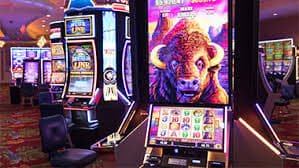 bb66 bingo online